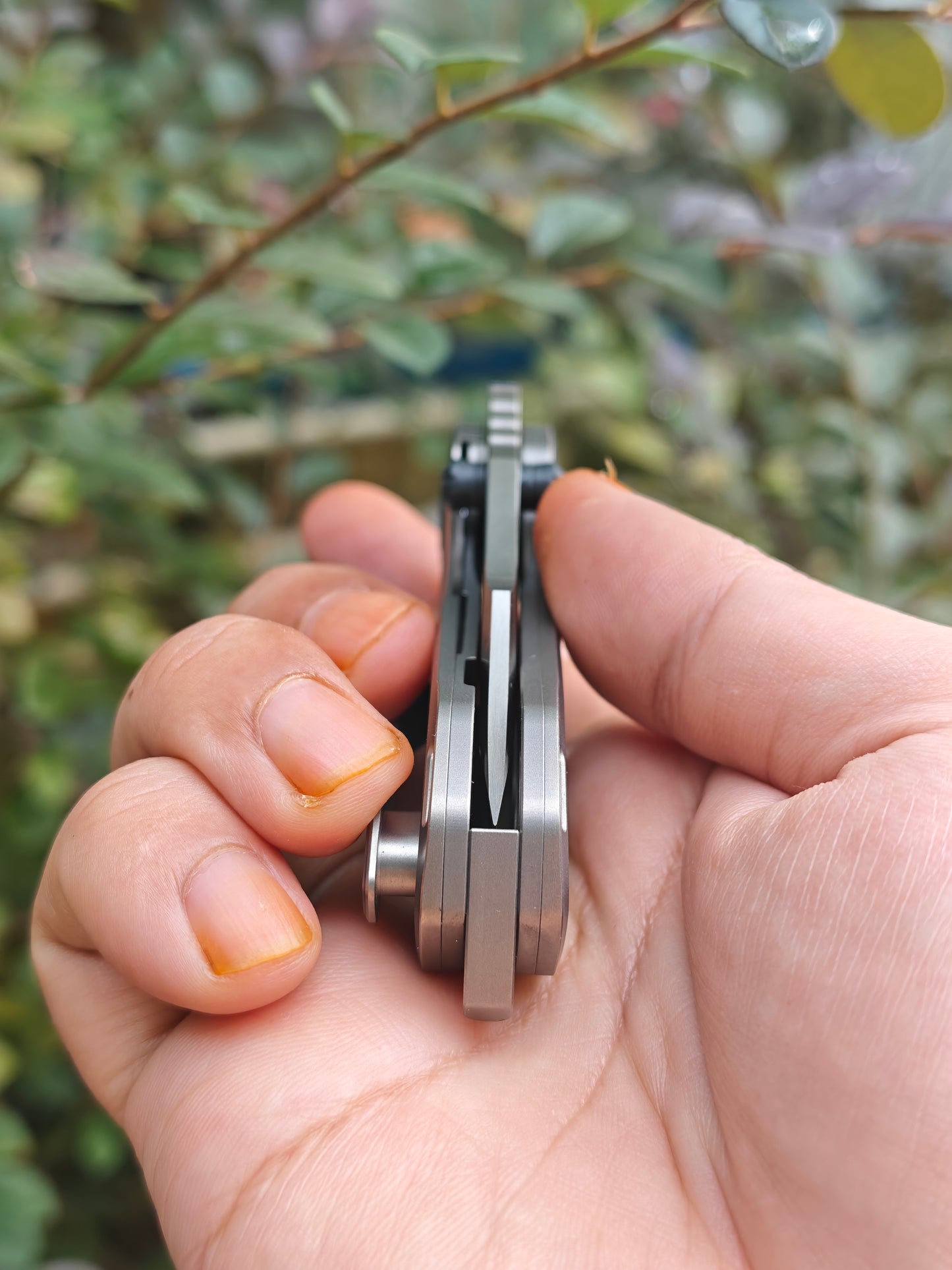 TOOTH-Pocket Knife